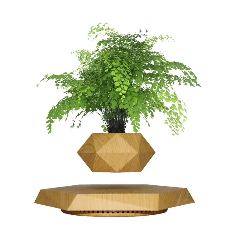 Levitating - Bonsai Planter Pot ©